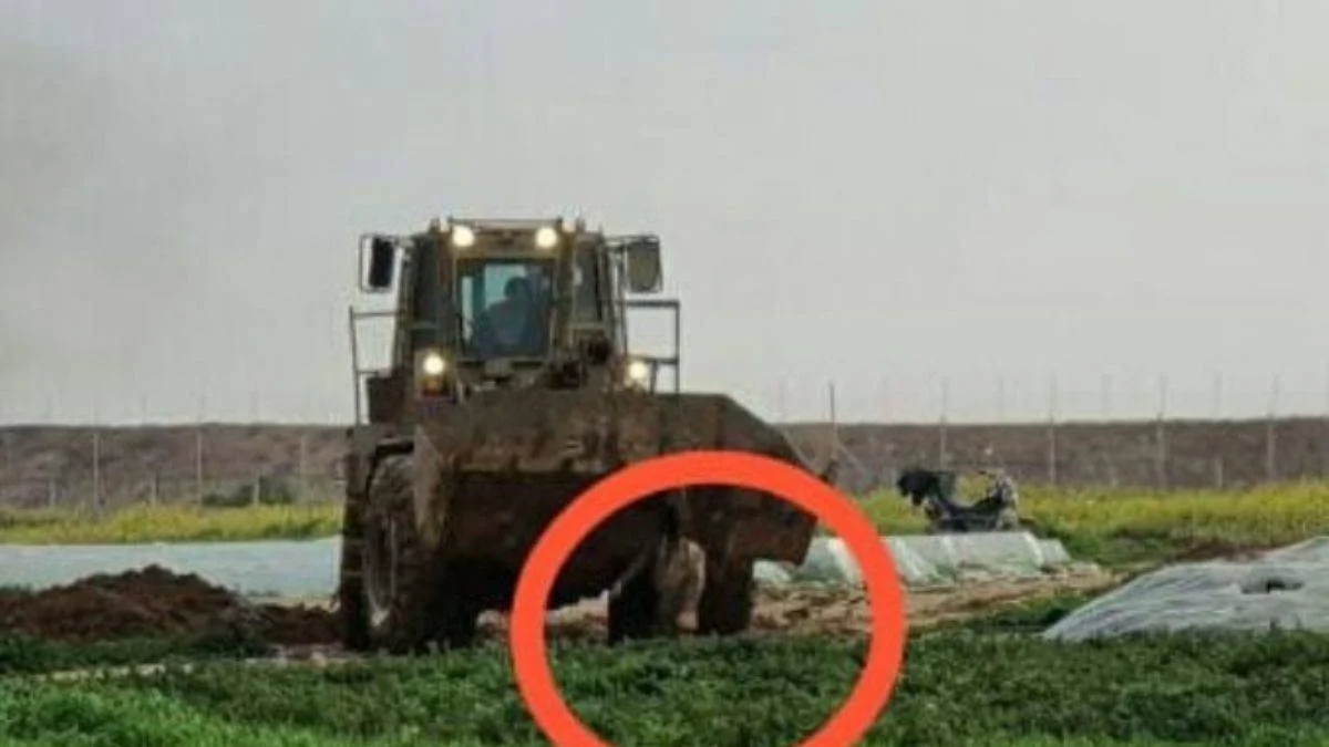 Gazze'de hafızalara kazınan vahşet