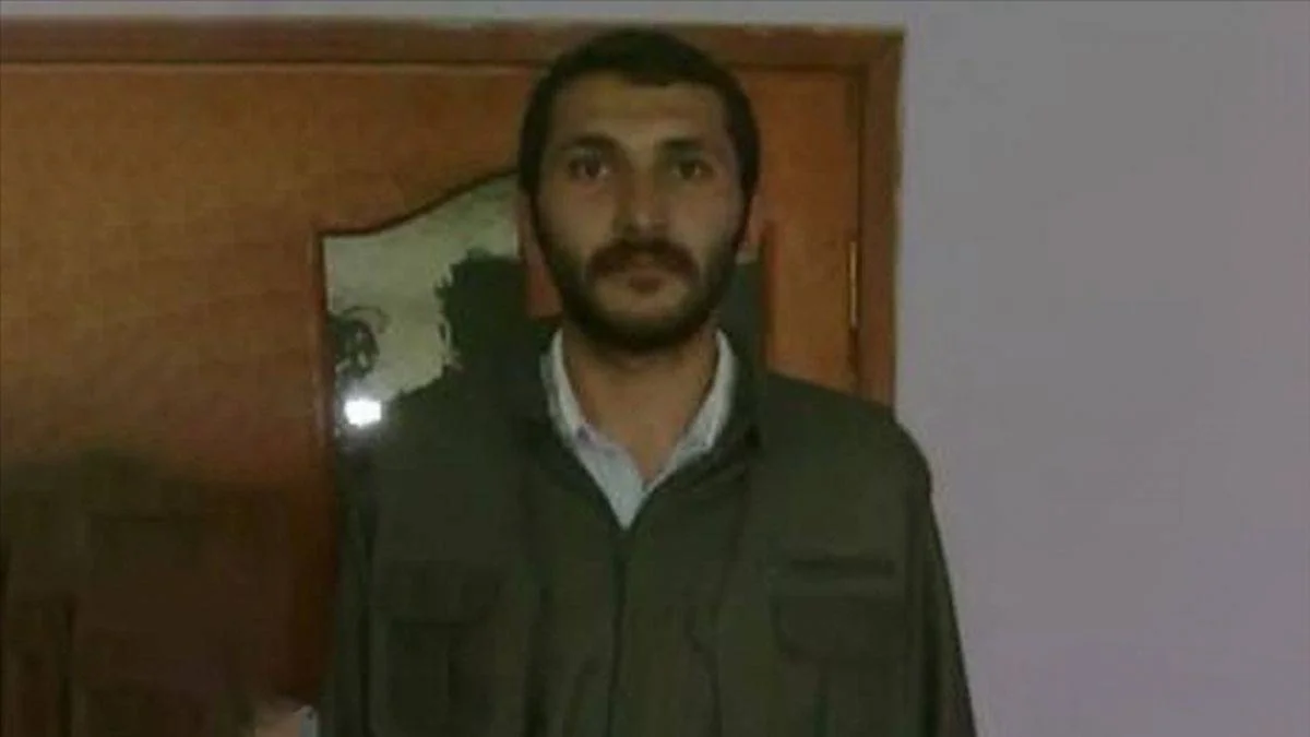 MİT'ten PKK'ya nokta operasyon