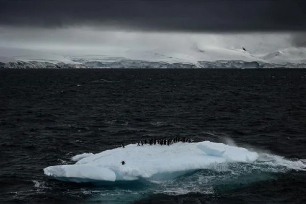 UNFCCC: Küresel sıcaklık artışının 1,5 dereceyi aşması kaçınılmaz hale geldi