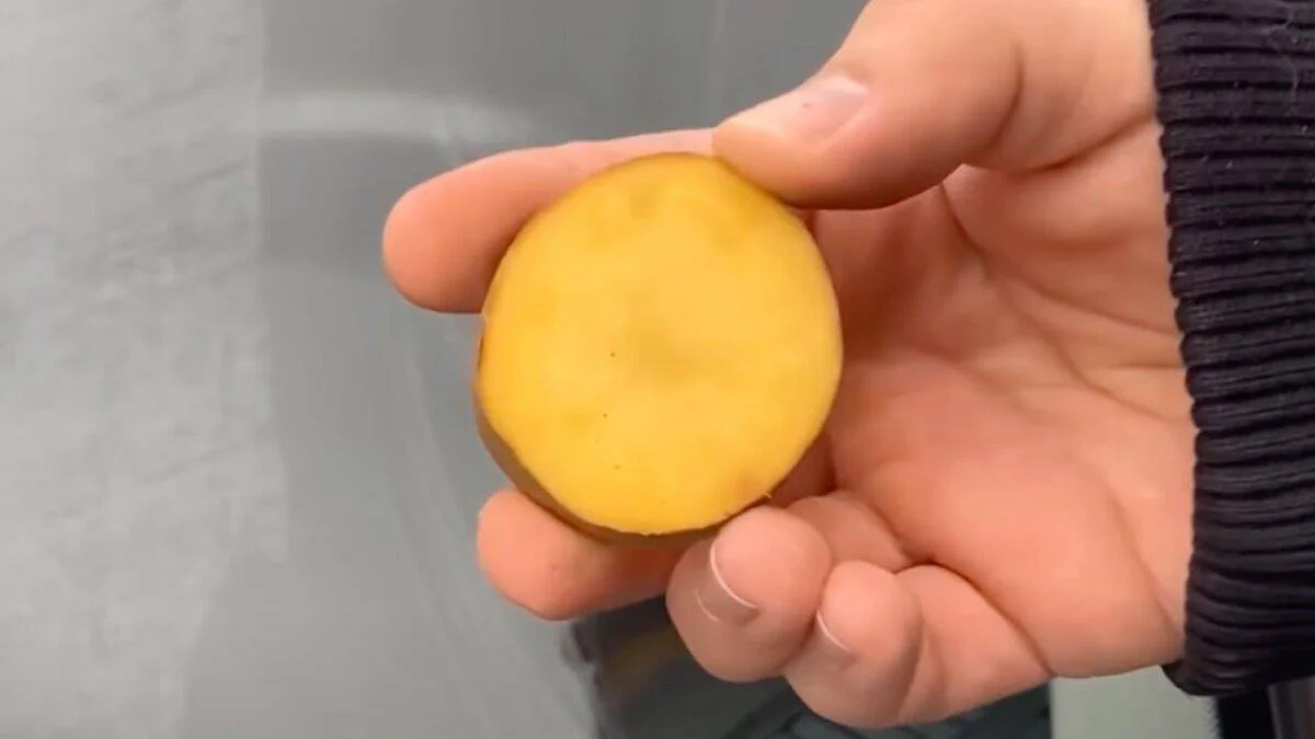 Bir patates ön camınızın donmasını nasıl önleyebilir?