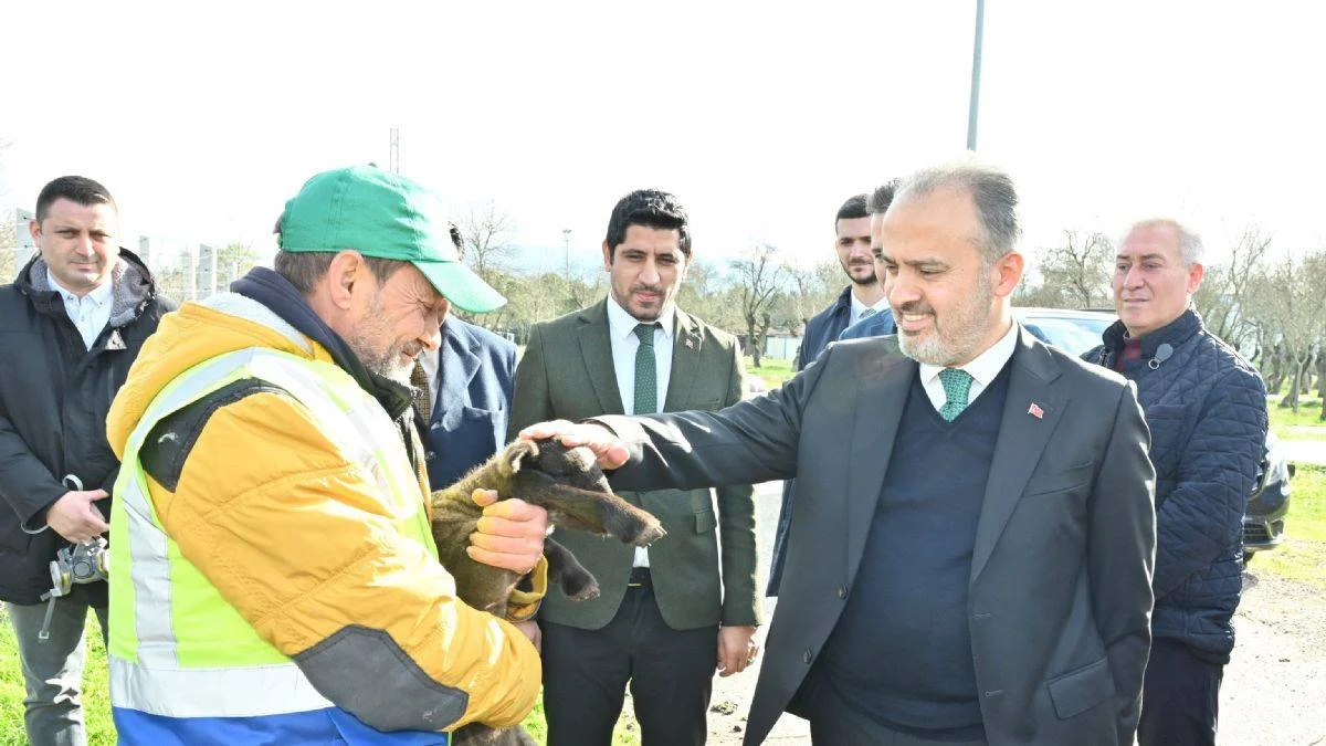 Büyükşehir'le çaresiz değilsiniz