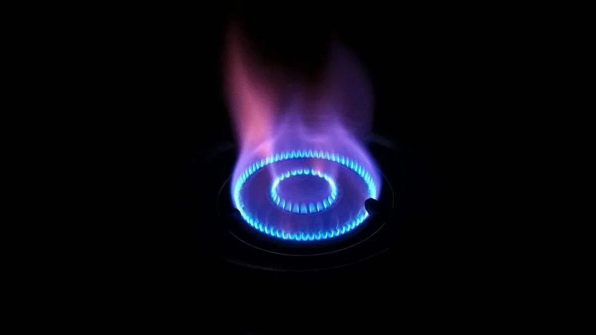 Doğalgaz desteği 4 ay daha devam edecek