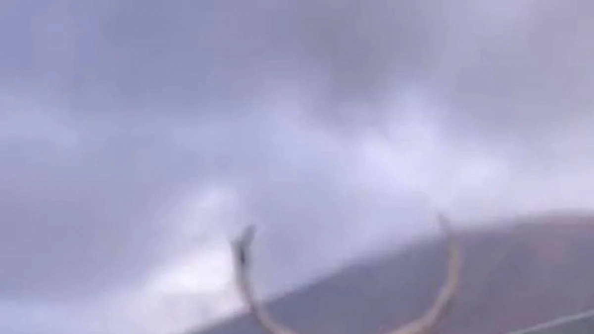 İskoçya'da görüntülenen geyiğin güzelliği