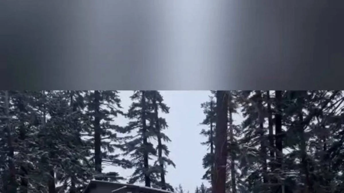 Mammoth Lakes, Kaliforniya'da buzlu yolda kayan araçlar