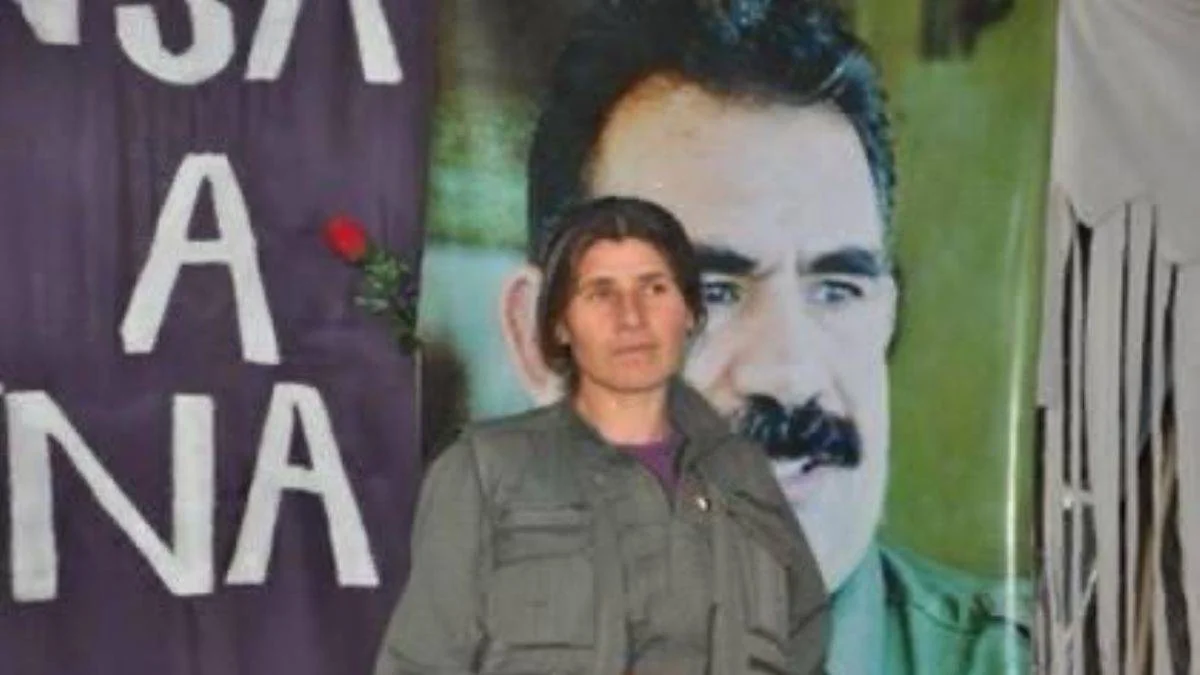 MİT, nokta operasyonla etkisiz hale getirdi