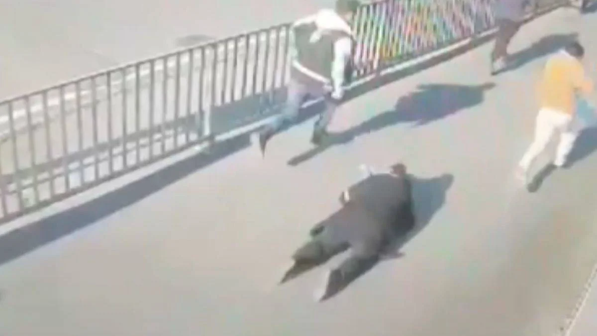 Adliyedeki terör saldırısının yeni görüntüleri ortaya çıktı
