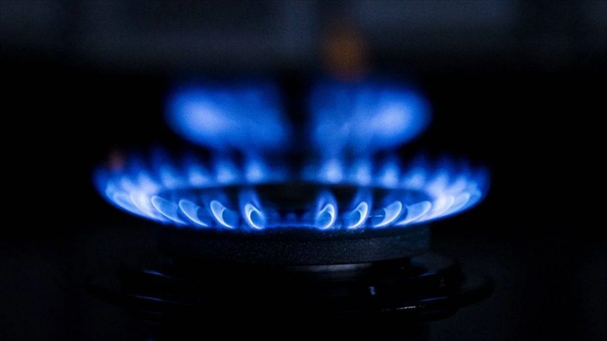 BOTAŞ'tan doğal gaz fiyatı açıklaması