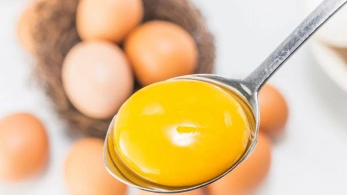 Her gün yumurta yemek sağlığa zararlı mı?