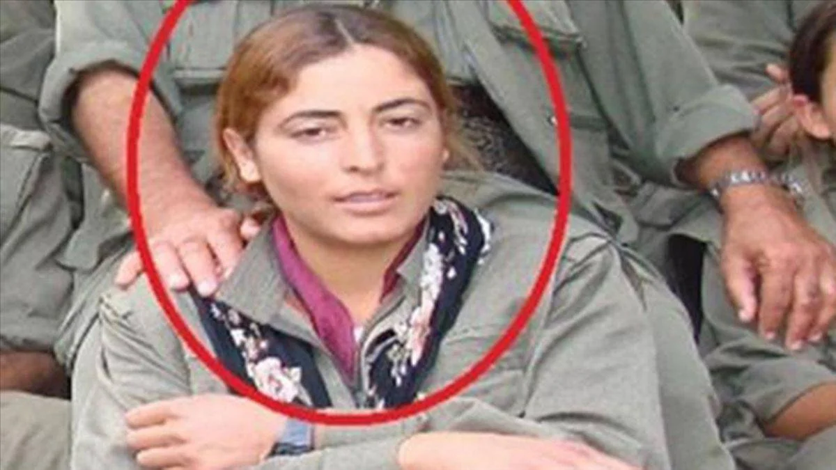 MİT'ten Suriye'de operasyon: 10 şehidin faili etkisiz hale getirildi
