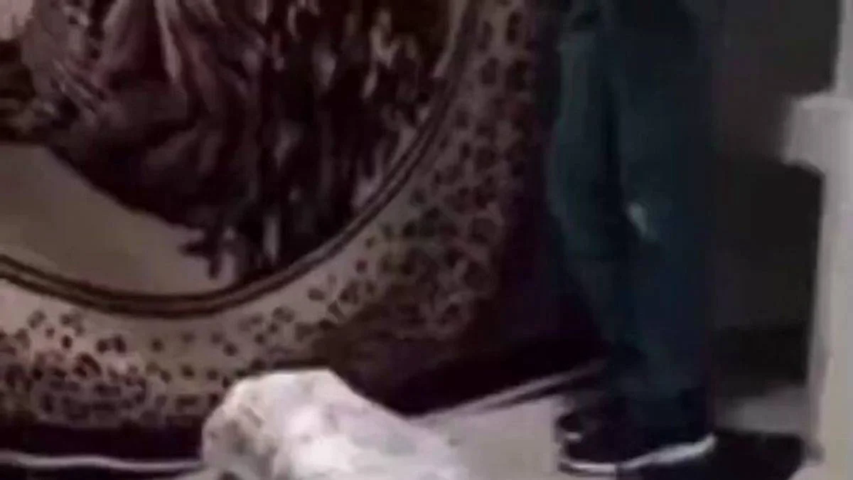 Güney Amerika'da eve giren hırsızı jelatine saran ev sahibi odunla dövdü