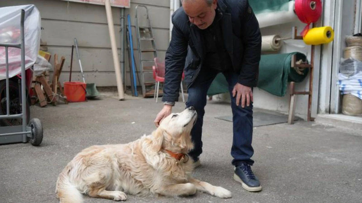 Köpekten kaçarken bacağını kırdı, 677 bin lira tazminat kazandı