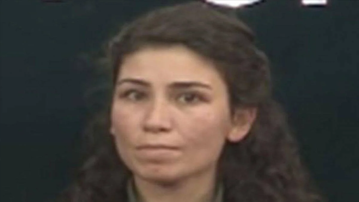 MİT'ten PKK'ya Süleymaniye'de nokta operasyon