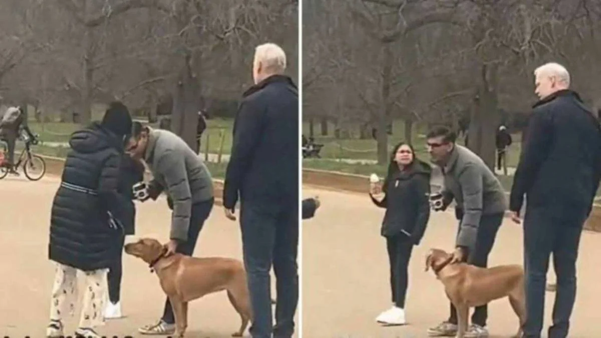 Tasmasız köpek gezdirmenin sakıncaları