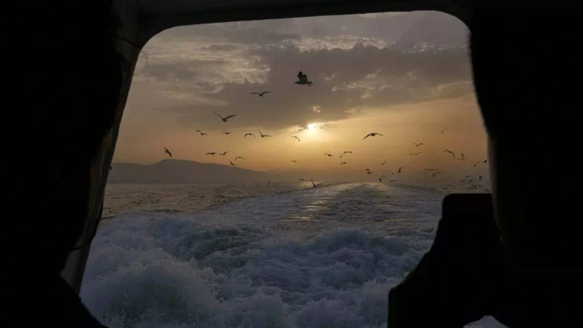 Deniz Aslanı-2024 Arama Kurtarma Davet Tatbikatı'nın fiili bölümü başladı