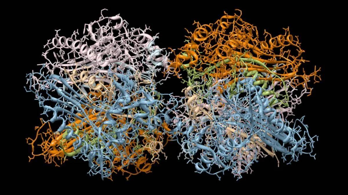 Google'ın yeni yapay zekası DNA ve RNA'ya giriyor