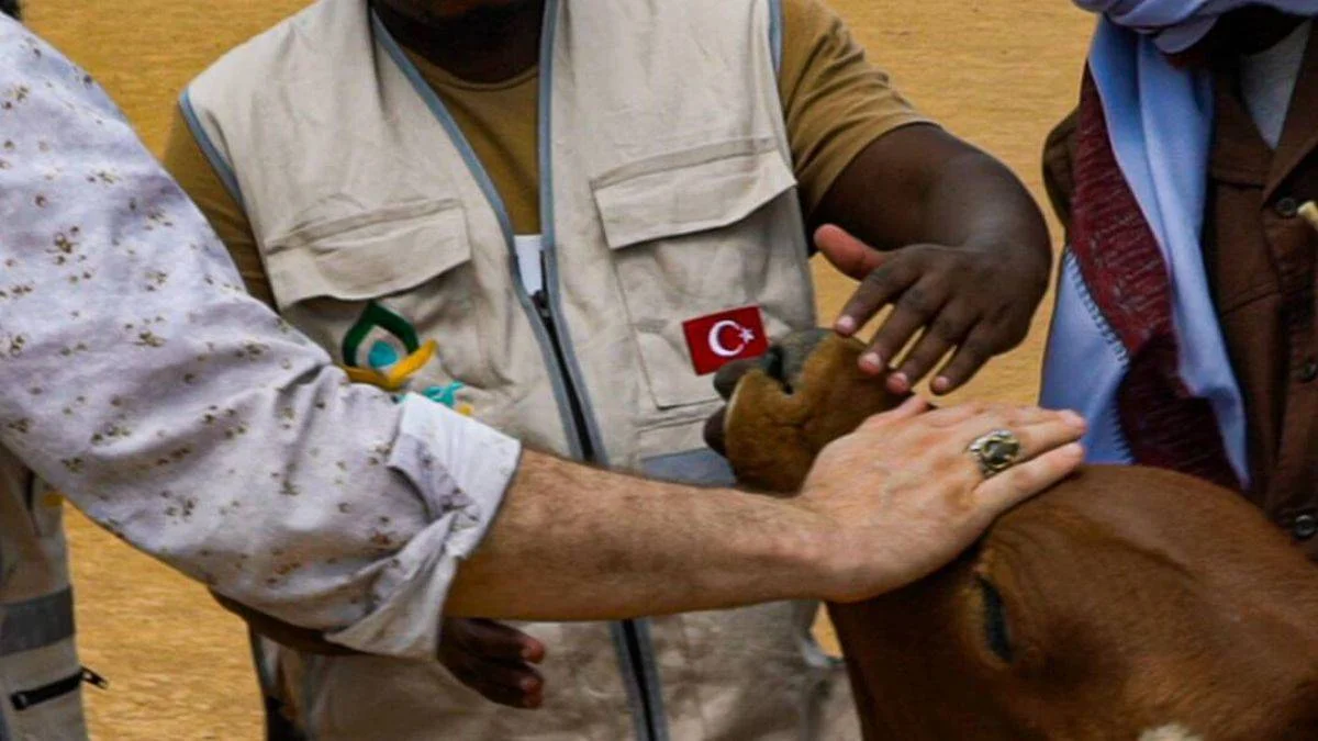 HAYDER, Kurban Bayramı'nda 15 ülkede ihtiyaç sahiplerine yardım eli uzatıyor