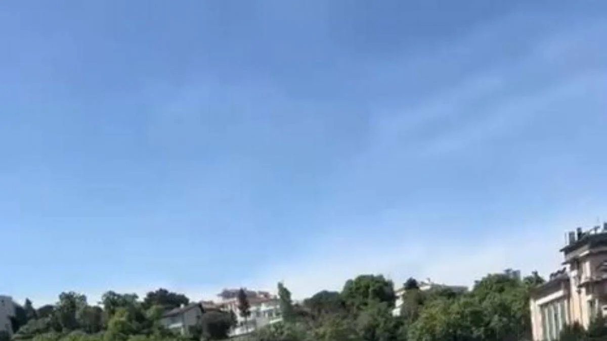 İstanbul Boğazı'nda denize düşen papağanı tekneden atlayıp kurtardı