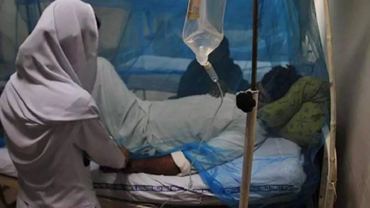 Nijerya'da Lassa salgını: 4 ayda 156 kişi hayatını kaybetti