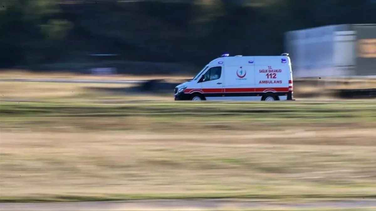 Sahipsiz köpeklerin saldırısına uğrayan kadın dehşeti yaşadı