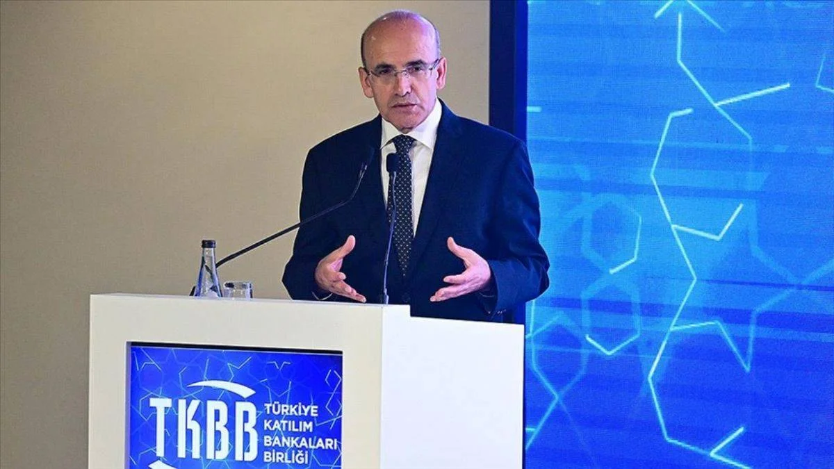 Şimşek: Çok ciddi kaynak girişi var
