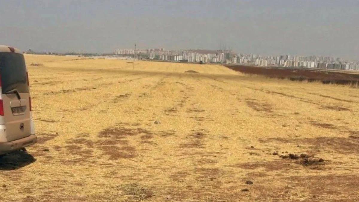 12 kardeşin arazi savaşı: 4 kişi cinayet kurbanı oldu!