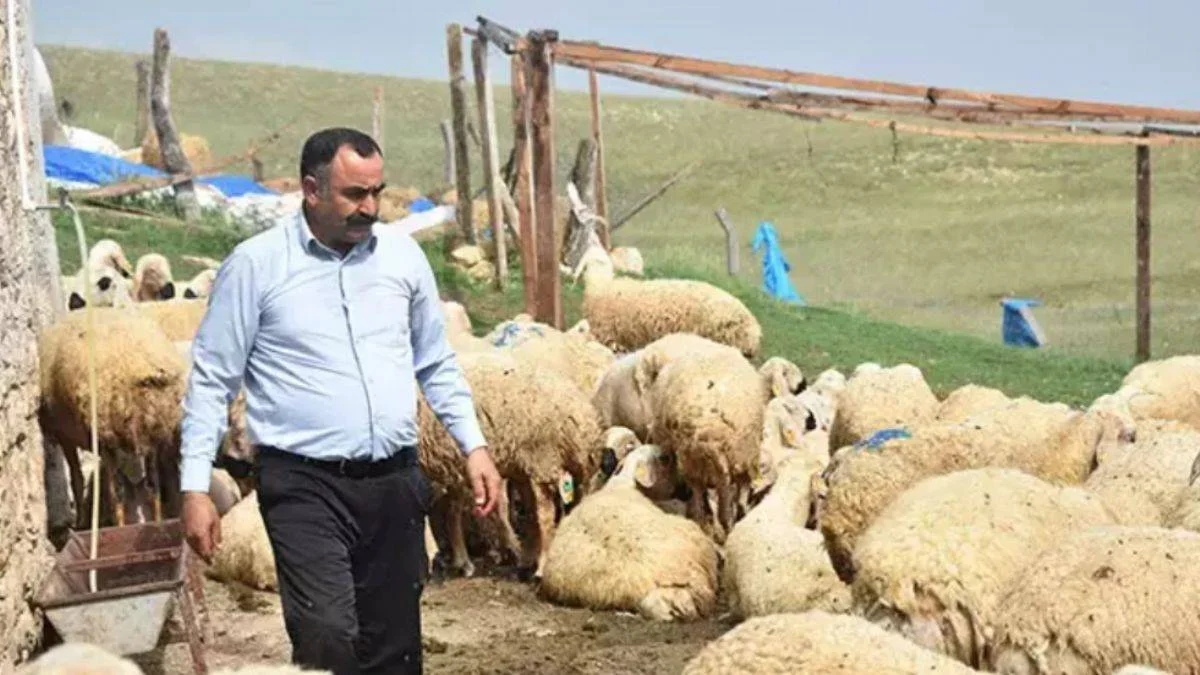 40 bin TL maaşla çoban bulamayan köylüler, hayvanlarını satıyor