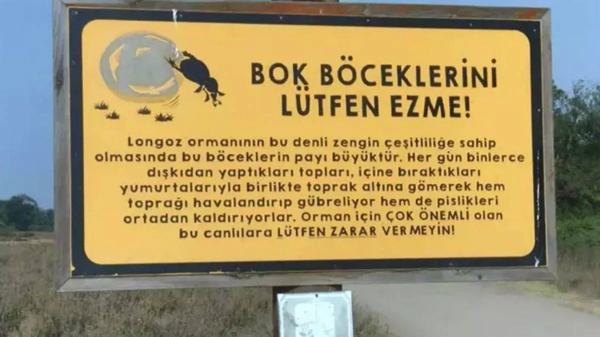 Devlet korumasındaki böcek