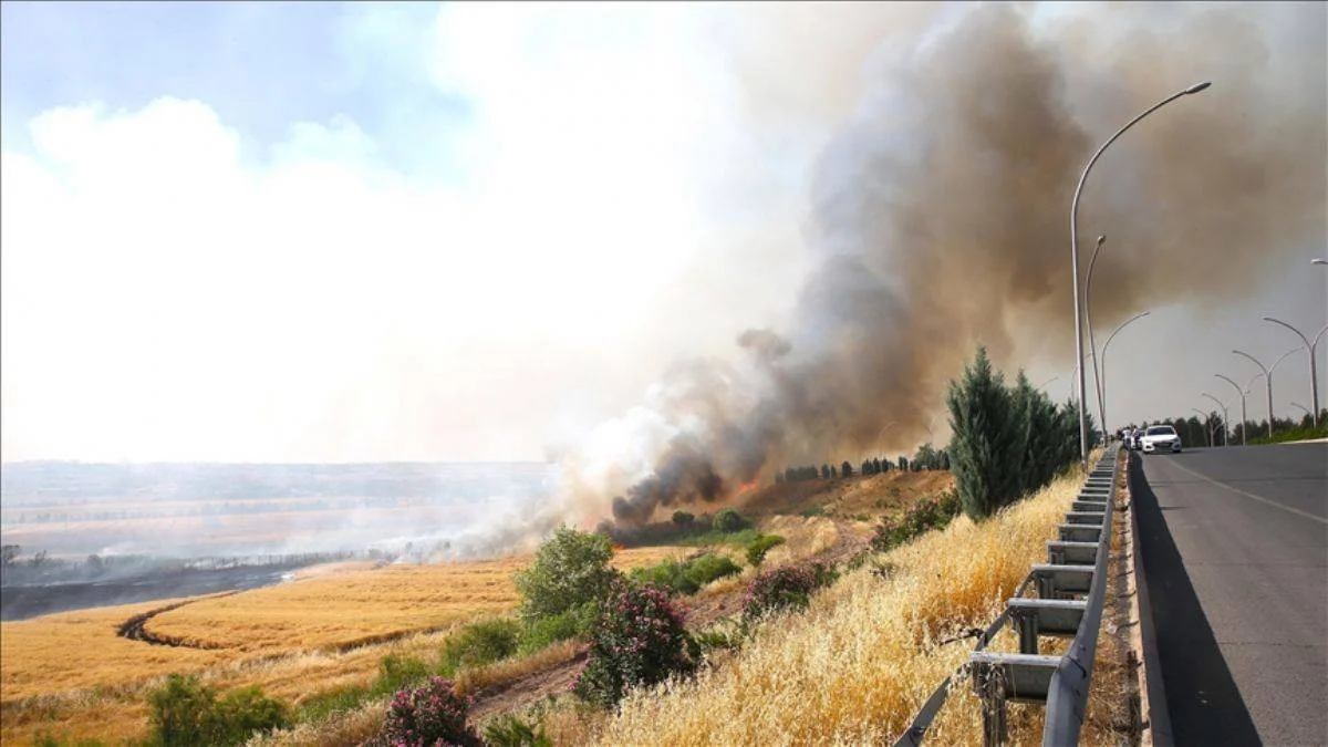 Diyarbakır ve Mardin'deki yangınlarda ölü sayısı 15 oldu; ölenlerin kimlikleri açıklandı