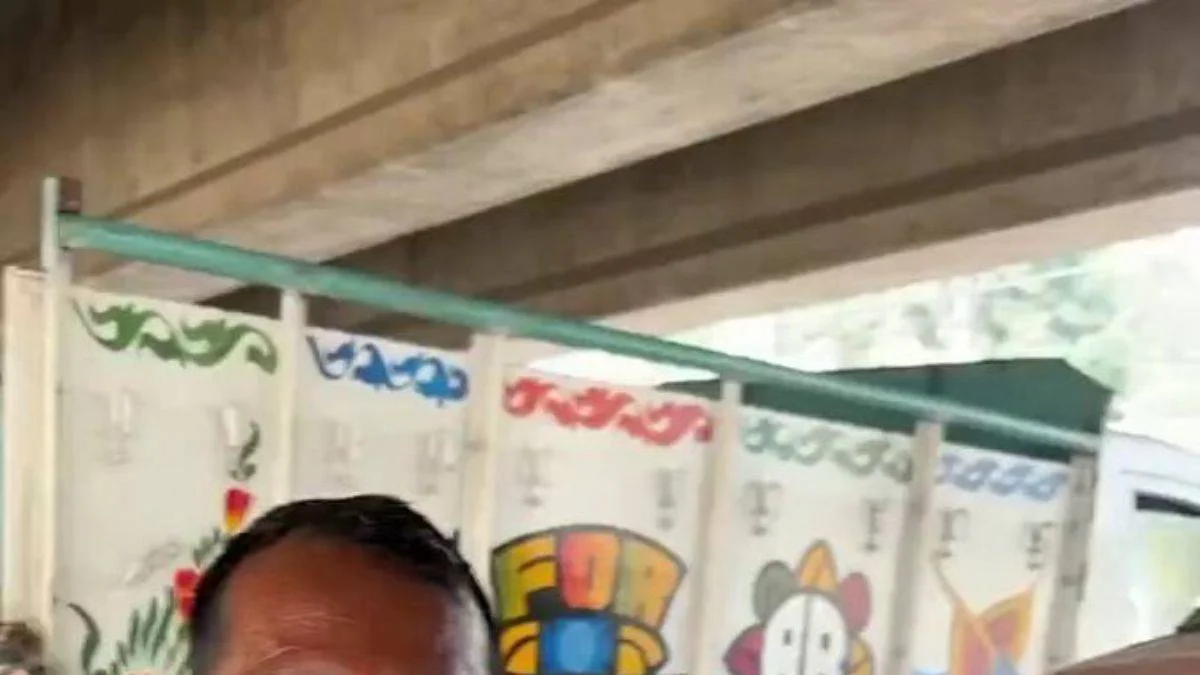 Kedi çizmek hiç bu kadar kolay olmamıştı