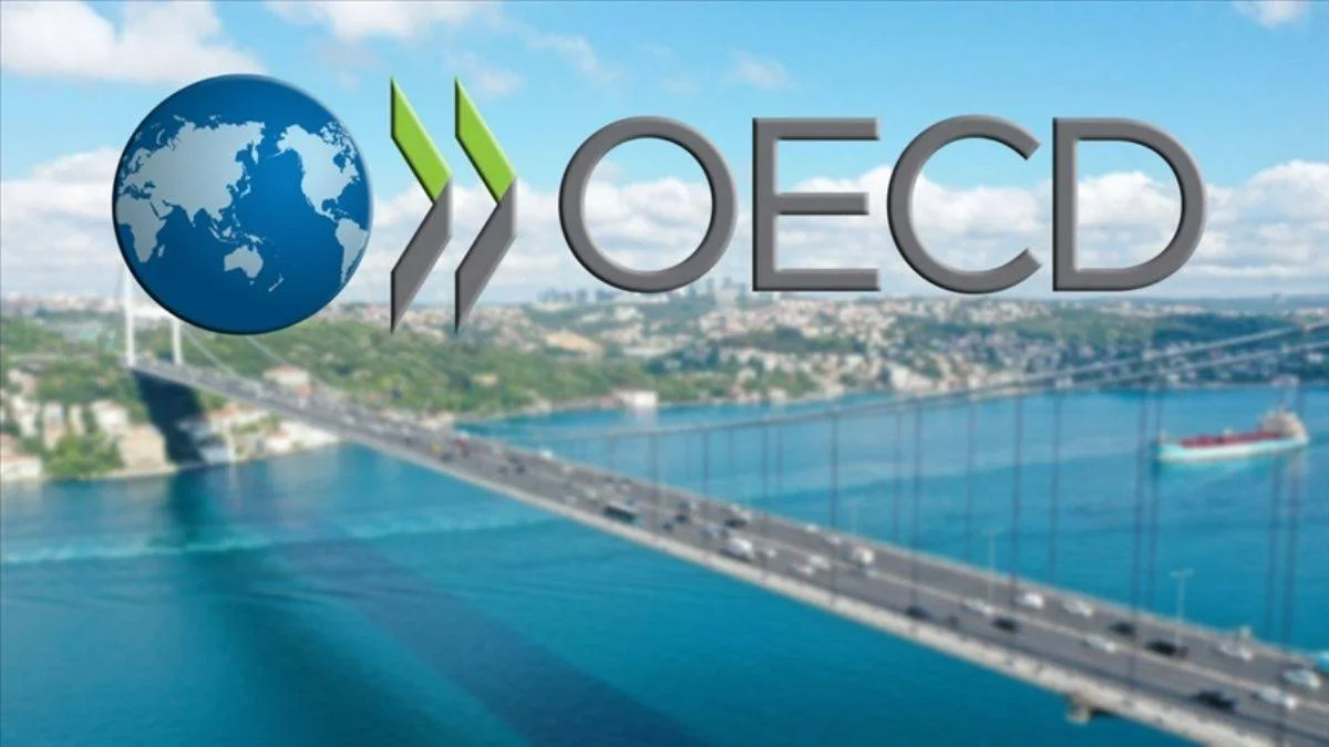 OECD'den Türkiye açıklaması