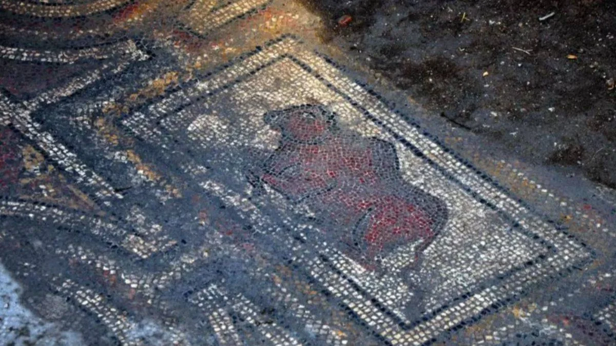 Osmaniye'de kazı yaparken ortaya çıktı