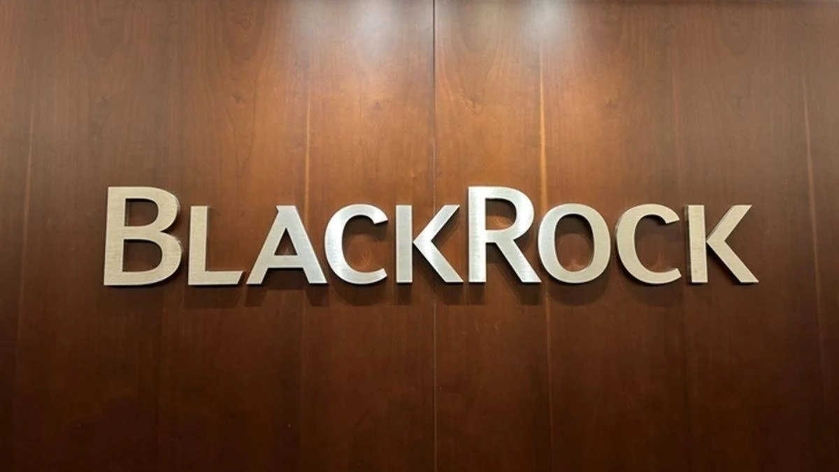 BlackRock, milyar dolarlık şirketi 'yuttu'