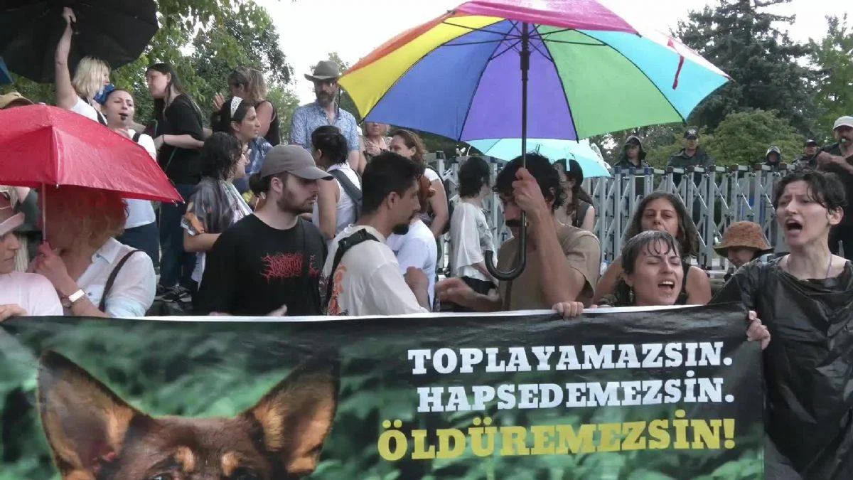 Erdoğan: 'Son bir haftadır ortalığı ayağa kaldıranlar...'