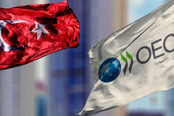 Gri liste kararı sonrası OECD'den Türkiye açıklaması
