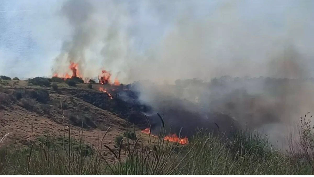 Tekirdağ'da makilik alanda yangın