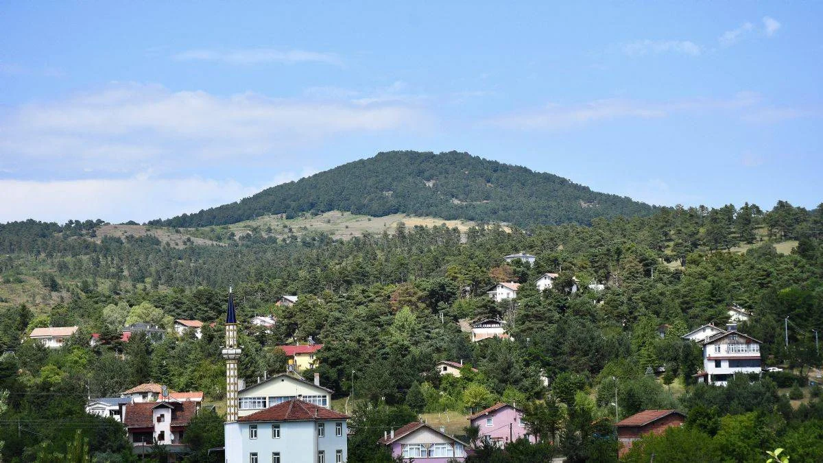 Yeşilin tüm tonları Çamiçi Yaylası'nda