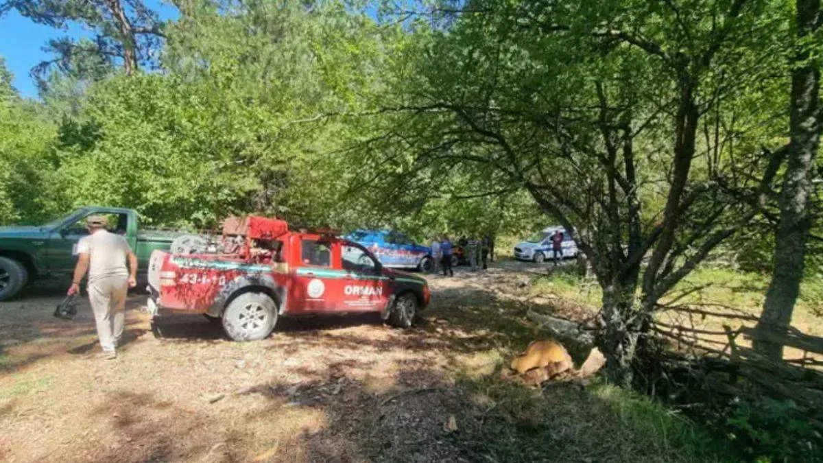 13 köpek öldürüldü: 'Evladımı kaybetmiş gibiyim'