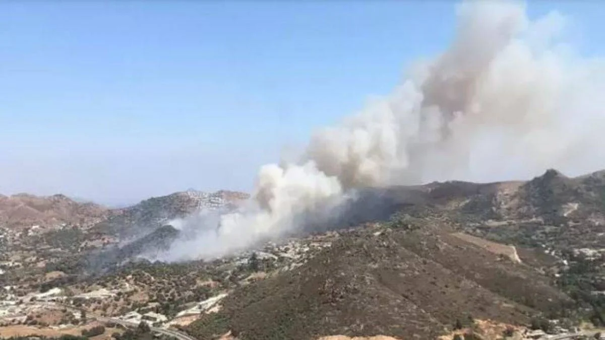 Aydın'da orman yangını son dakika