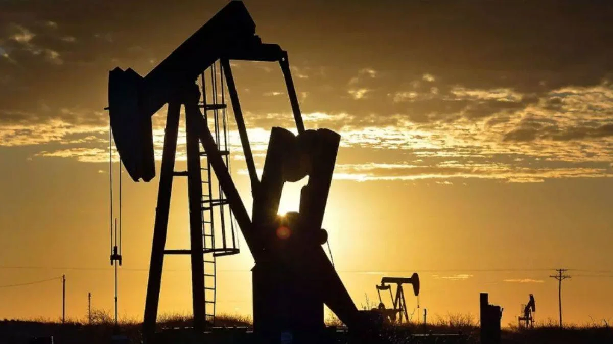 Bir ilimiz için petrol hamlesi!
