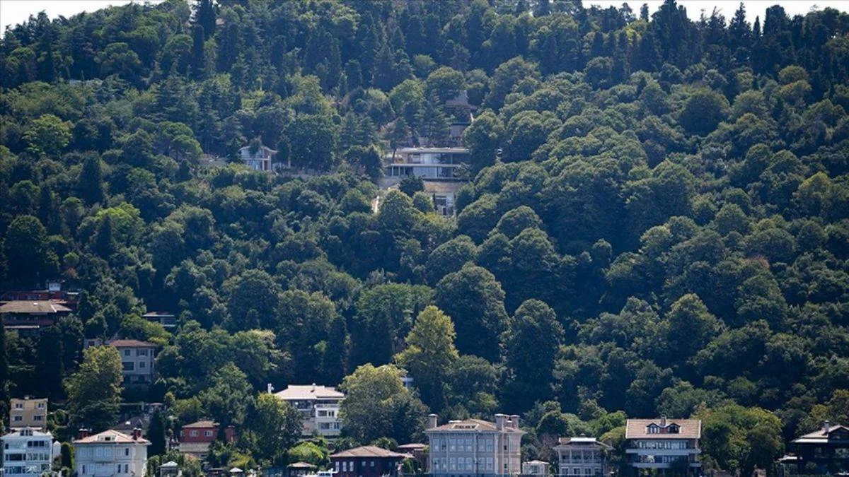 Boğaz'daki izinsiz inşaata ilişkin açıklama