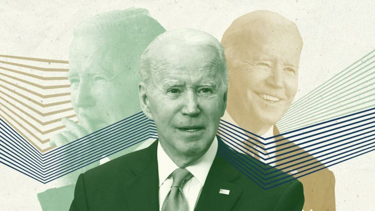 Demokratların internet sitesindeki 'Biden bunaması'
