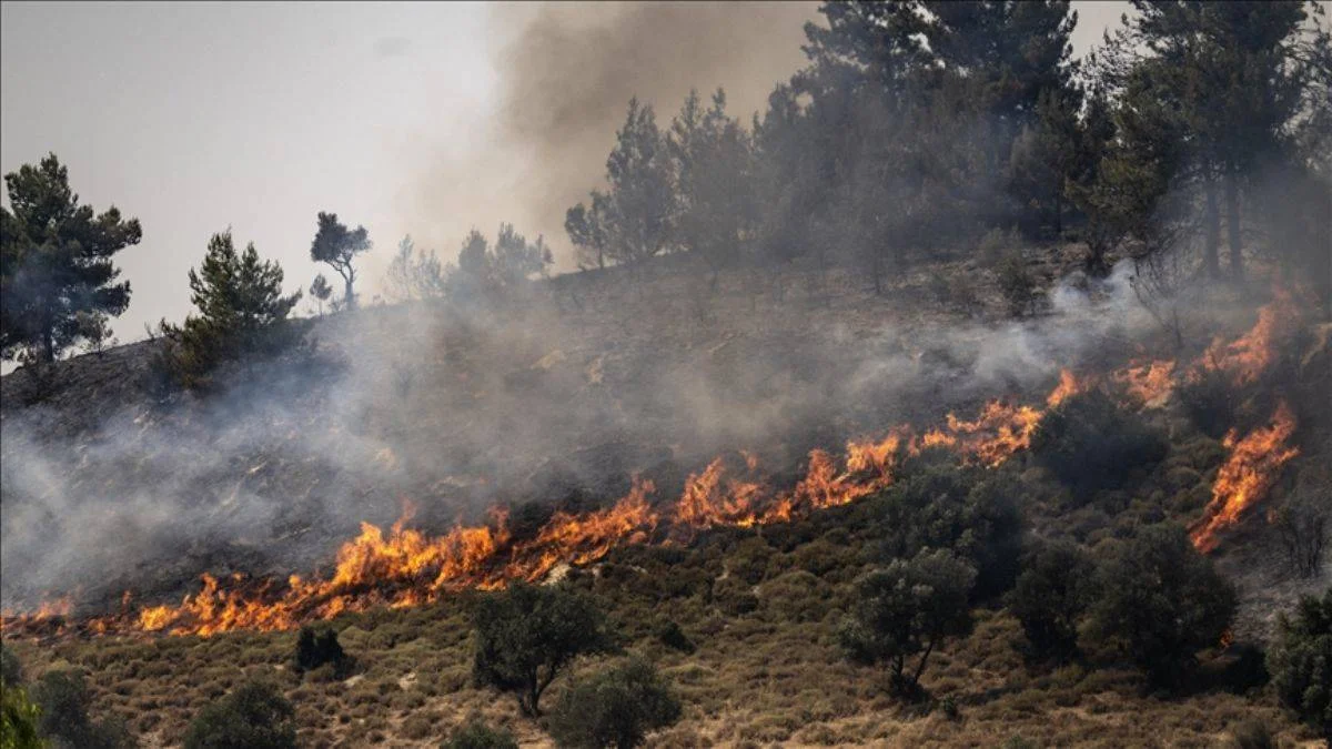 Hizbullah'ın roketleri yangın çıkardı