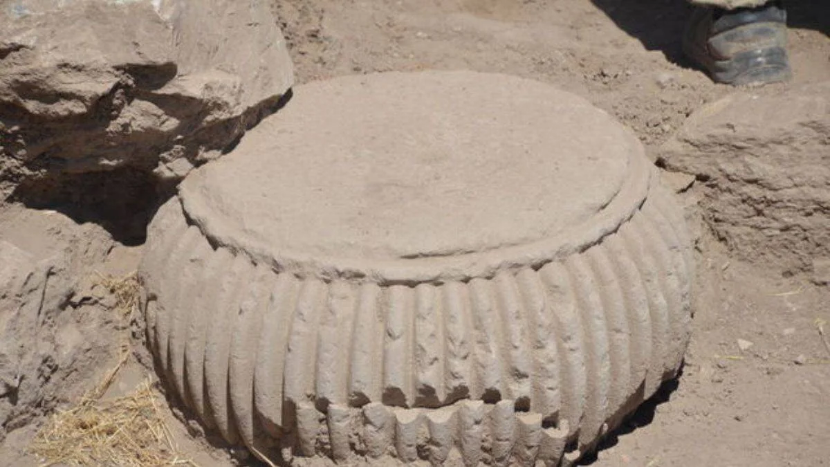 Kahramanmaraş'ta 2 bin 800 yıllık tohumlar bulundu