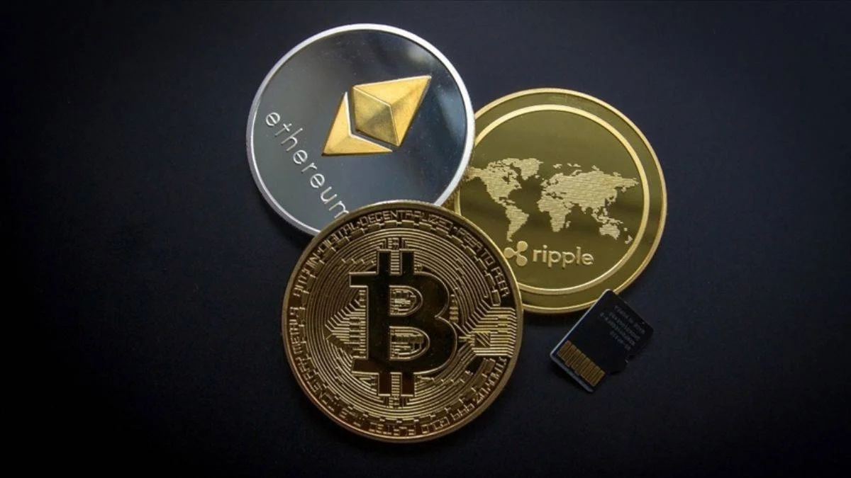 Kripto para piyasasında aktif ve tasfiye edilen şirketler