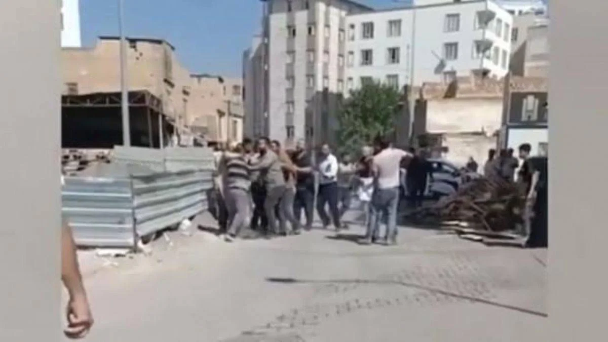 Şanlıurfa'da isot ve patlıcan kavgası