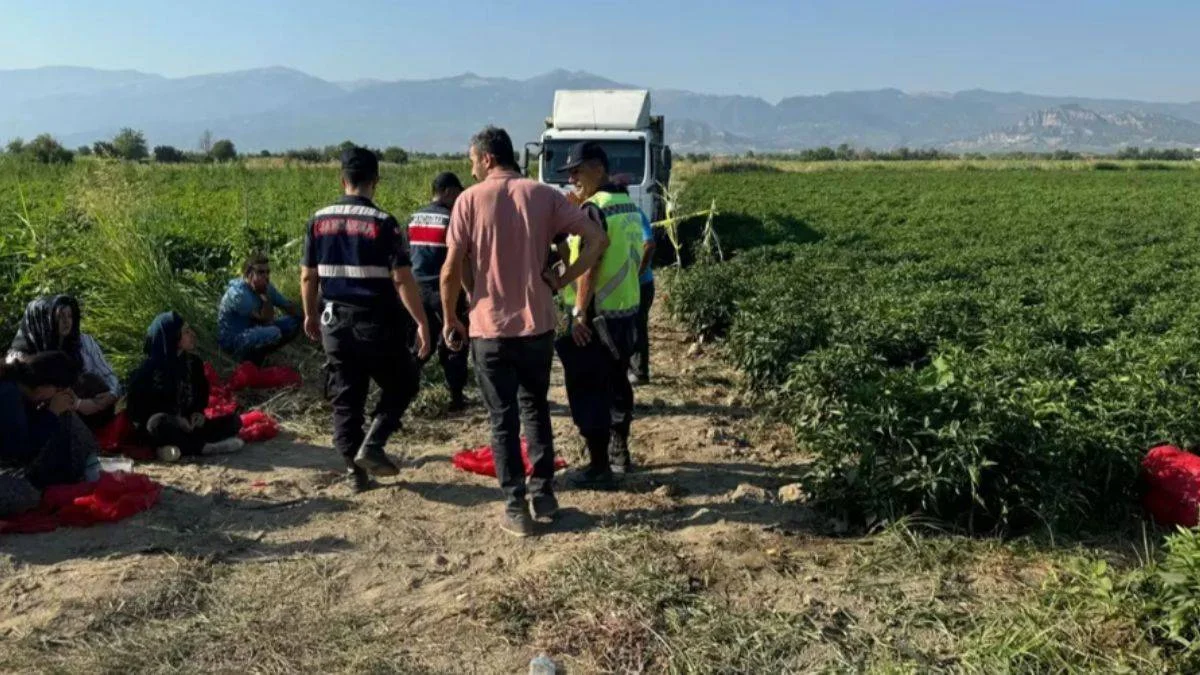 Tarlada uyuyakalan 6 yaşındaki kızı ezdi! Yakınları sürücüyü öldürdü