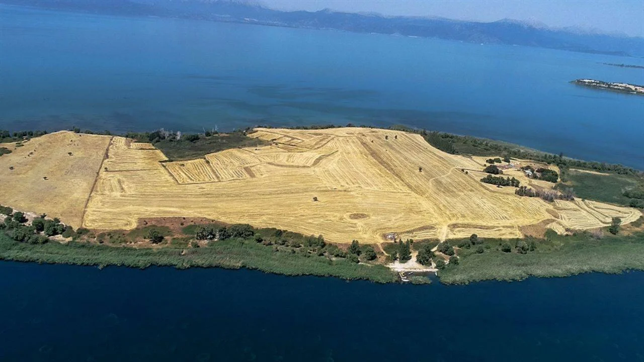 Konya'da metrekaresi 9 dolara satılık ada
