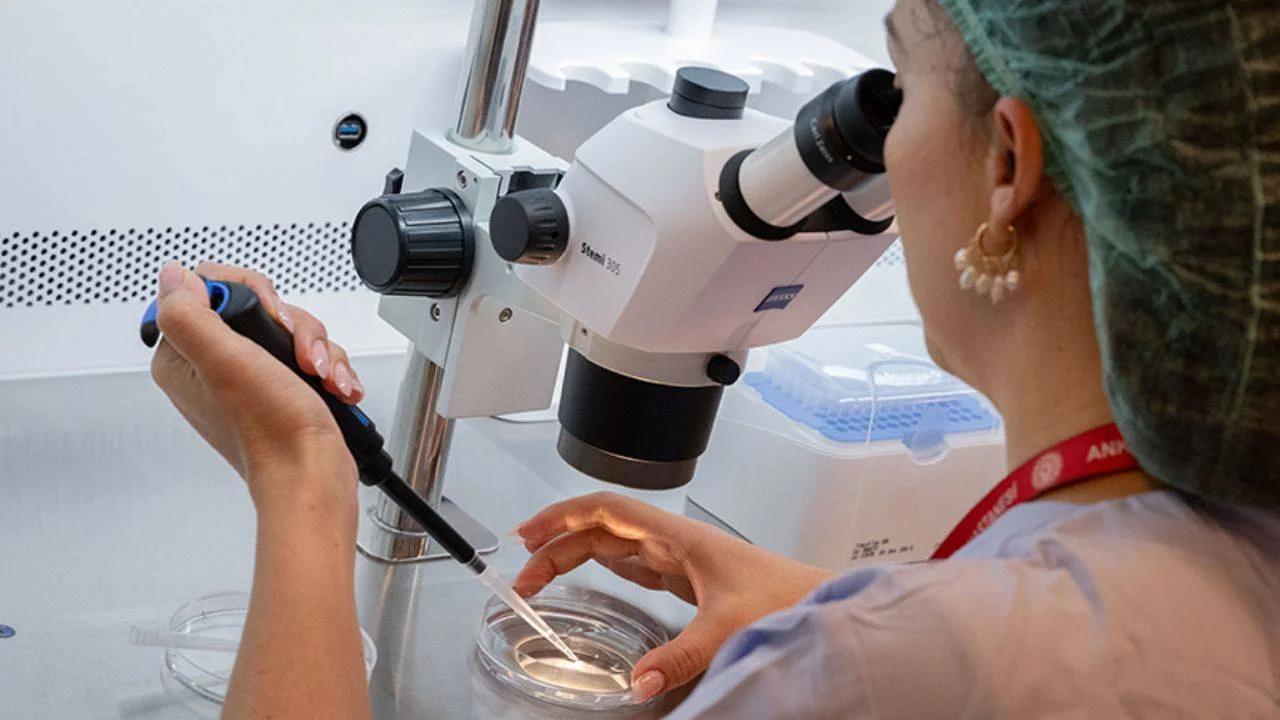 Erkeklik tehlikede mi? 150 milyon sperm nasıl 20 milyona düştü?