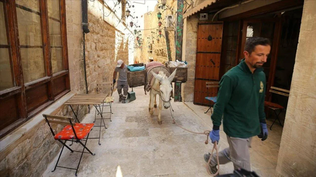 Mardin'in Artuklu ilçesinde uzun süredir temizlik işlerinde kullanılan eşekler içinse emeklilik planı devreye girdi.