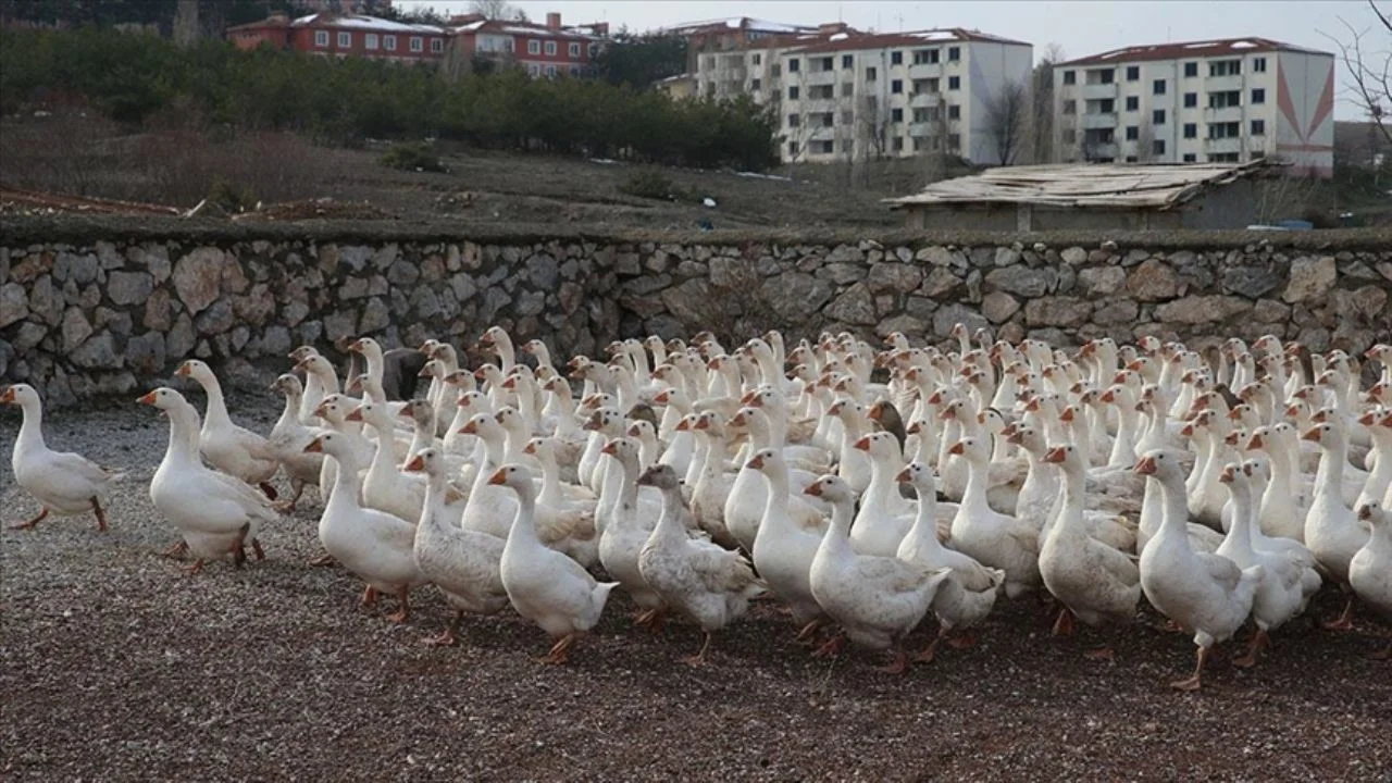 Marketini sattı; 10 kazla başladığı işinde şimdi 3 bin kazı var